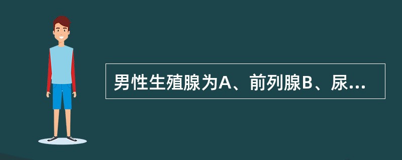 男性生殖腺为A、前列腺B、尿道球腺C、睾丸D、精囊E、附睾