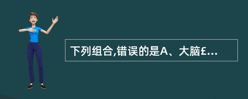 下列组合,错误的是A、大脑£­由左、右大脑半球构成B、脑桥和小脑之间C、小脑£­