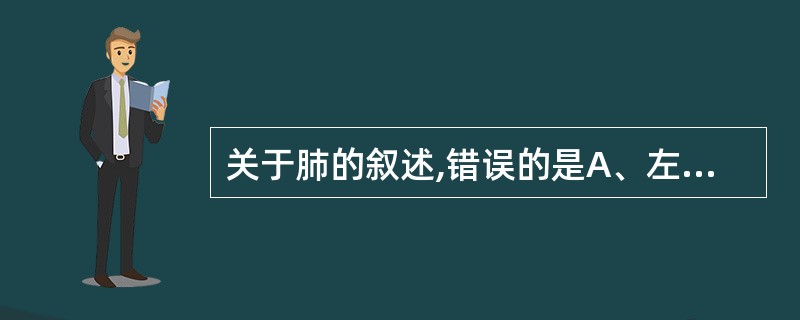 关于肺的叙述,错误的是A、左右两肺分居膈的上方和纵隔两侧B、肺尖指第1肋环下缘以