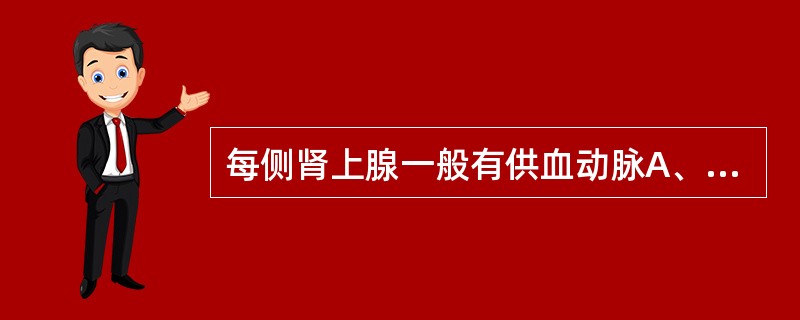 每侧肾上腺一般有供血动脉A、2支B、3支C、4支D、5支E、6支