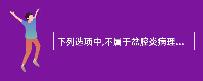 下列选项中,不属于盆腔炎病理表现的是( )