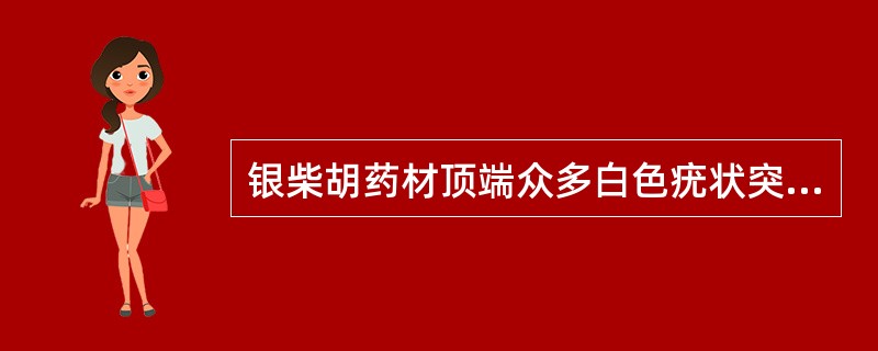 银柴胡药材顶端众多白色疣状突起的茎基及芽,密集排列呈盘状,称为( )