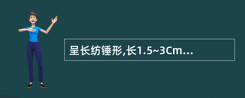 呈长纺锤形,长1.5~3Cm,对光透视有一条不透明的木心,味甜,微苦的药材是(