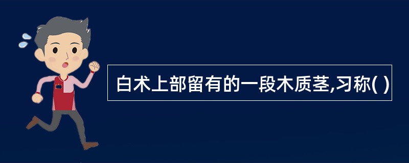 白术上部留有的一段木质茎,习称( )