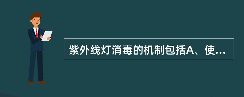 紫外线灯消毒的机制包括A、使菌体DNA失去转换能力而死亡B、破坏菌体蛋白质中的氨