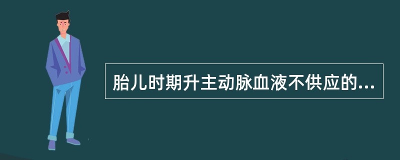 胎儿时期升主动脉血液不供应的器官为A、上肢B、脑C、心脏D、下半身E、以上都不是