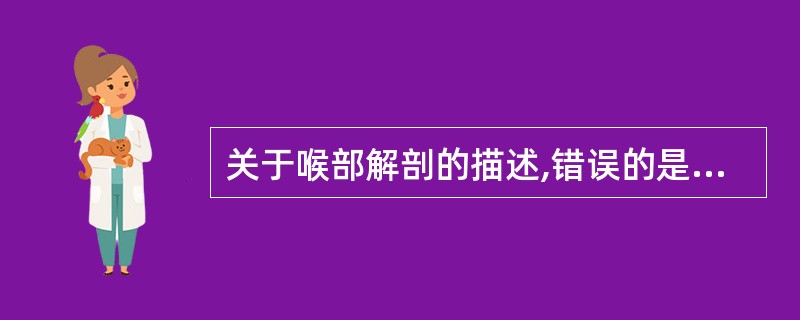 关于喉部解剖的描述,错误的是:()。A、声门上区有会厌,会厌披裂皱襞、披裂、喉室