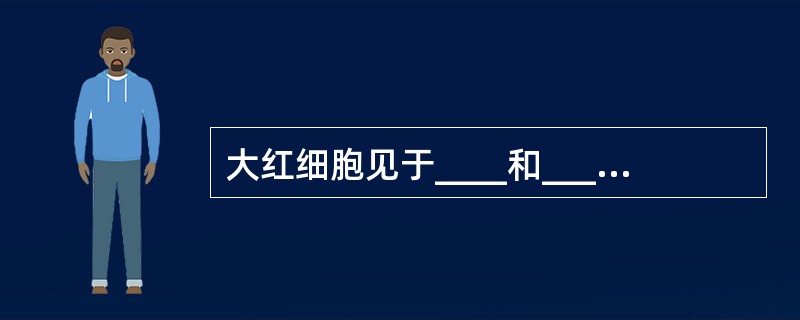 大红细胞见于____和____贫血。巨红细胞常见于____和____所致贫血。