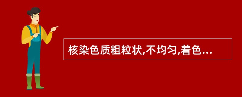 核染色质粗粒状,不均匀,着色深,核仁较大,界限不清,胞浆深蓝色,浓稠,不均匀,核