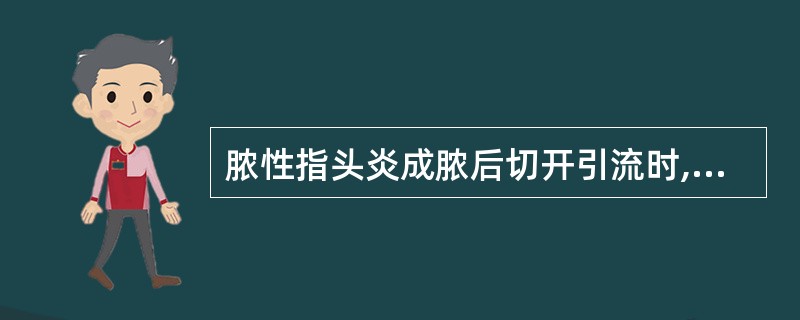 脓性指头炎成脓后切开引流时,切口应在