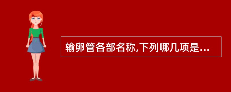 输卵管各部名称,下列哪几项是正确的A、通入子宫腔内的为间质部B、间质部外侧为壶腹