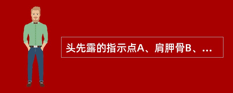 头先露的指示点A、肩胛骨B、骶骨C、枕骨D、额骨E、髋骨