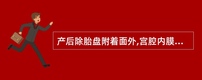 产后除胎盘附着面外,宫腔内膜基本完成修复的时间约为A、产后1周B、产后2周C、产