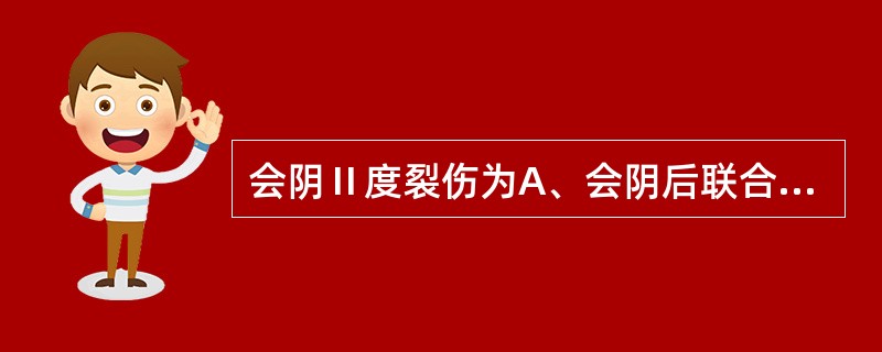 会阴Ⅱ度裂伤为A、会阴后联合B、会阴后联合、会阴皮肤C、会阴后联合、会阴皮肤、阴