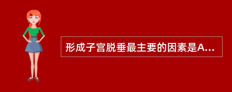 形成子宫脱垂最主要的因素是A、长期腹压增加B、分娩损伤C、产褥期过早活动D、盆底