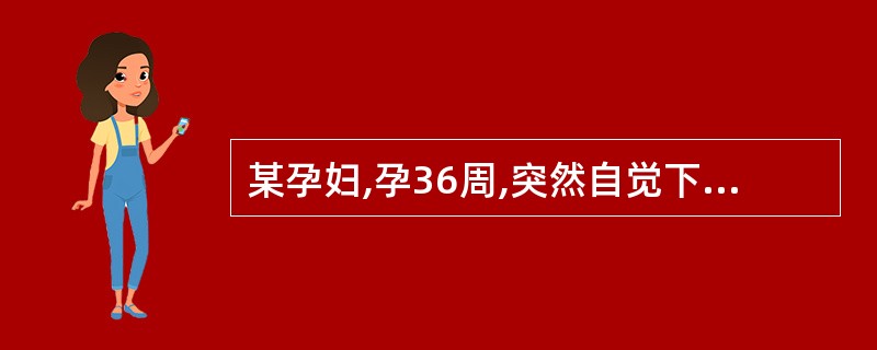 某孕妇,孕36周,突然自觉下腹剧烈疼痛,阴道少量流血。检查:血压160£¯110