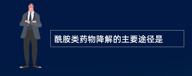 酰胺类药物降解的主要途径是