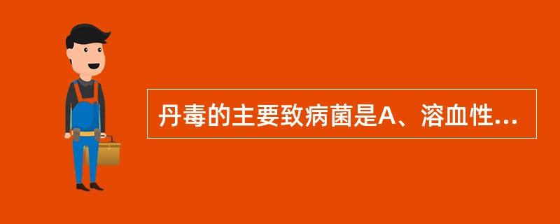 丹毒的主要致病菌是A、溶血性链球菌B、金黄色葡萄球菌C、破伤风杆菌D、大肠埃希菌