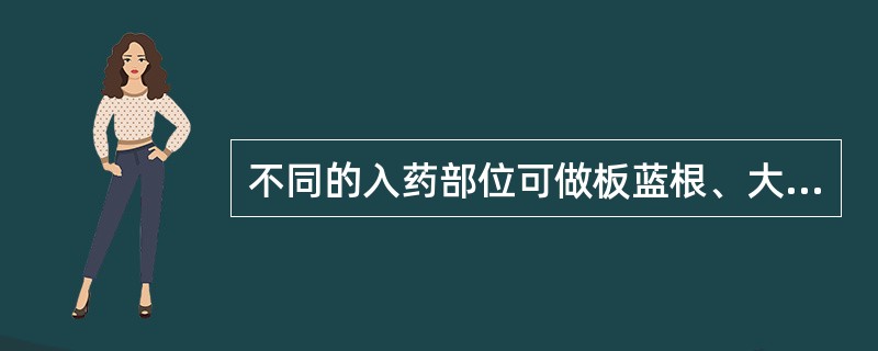 不同的入药部位可做板蓝根、大青叶、青黛的植物是