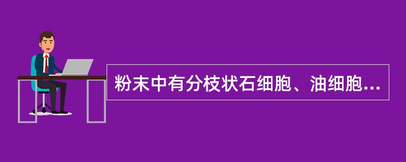 粉末中有分枝状石细胞、油细胞和厚壁纤维的中药材是