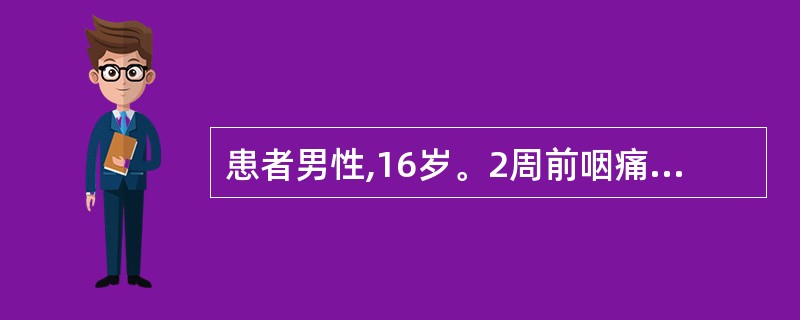 患者男性,16岁。2周前咽痛,颜面浮肿,肉眼血尿3天。血压160£¯95mmHg