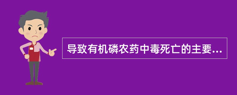 导致有机磷农药中毒死亡的主要原因是A、休克B、脑水肿C、心脏骤停D、电解质紊乱E