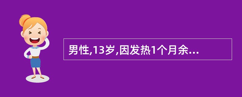 男性,13岁,因发热1个月余就诊,查血常规提示全血细胞减少,肝、脾大,多处触及淋