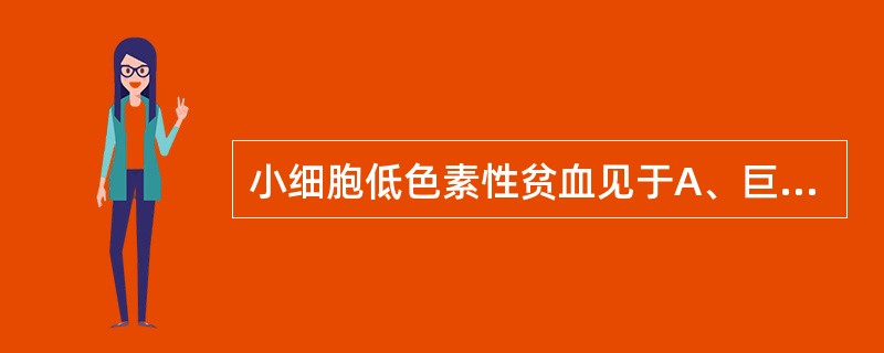 小细胞低色素性贫血见于A、巨幼细胞性贫血B、缺铁性贫血C、溶血性贫血D、失血性贫