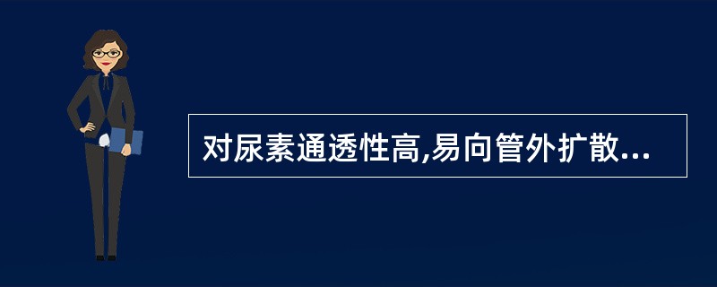 对尿素通透性高,易向管外扩散的部位是()。