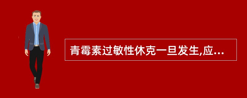 青霉素过敏性休克一旦发生,应立即注射( )