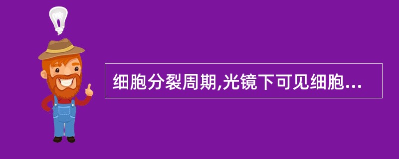 细胞分裂周期,光镜下可见细胞核内嗜碱性结构是()A、性染色体B、染色体C、常染色