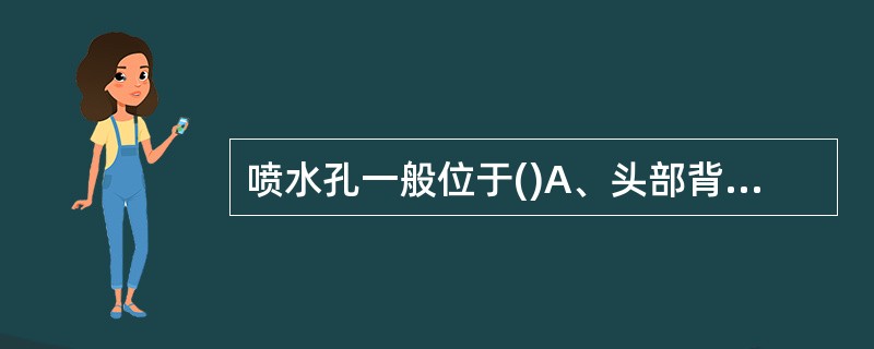 喷水孔一般位于()A、头部背面、眼前方B、头部背面、眼后方C、头部腹面、口前方D