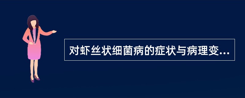 对虾丝状细菌病的症状与病理变化描述不正确的是()A、丝状细菌并不侵入宿主组织,也