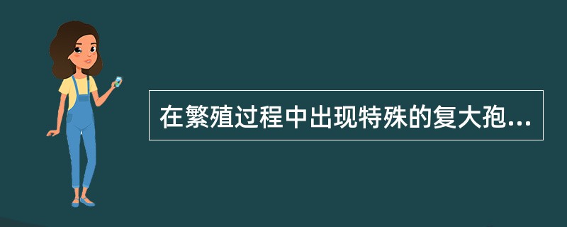 在繁殖过程中出现特殊的复大孢子繁殖的藻类是()A、硅藻B、鞘藻C、蓝藻D、刚毛藻