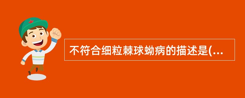 不符合细粒棘球蚴病的描述是( )A、虫体主要寄生于脑B、引起机体过敏反应及组织炎