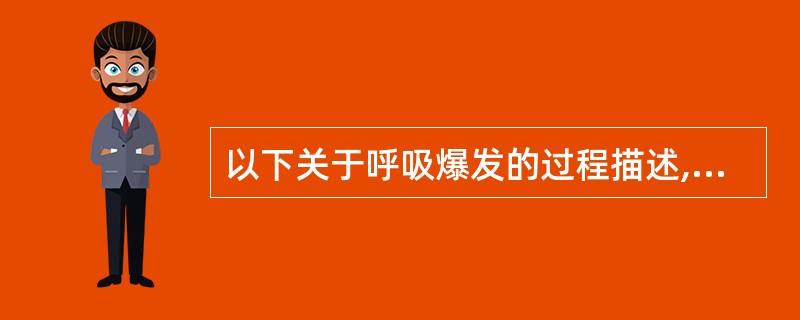 以下关于呼吸爆发的过程描述,不正确的是()A、发生于细菌被吞噬后的吞噬泡中B、主