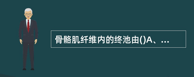 骨骼肌纤维内的终池由()A、高尔基复合体形成B、粗面内质网形成C、滑面内质网形成