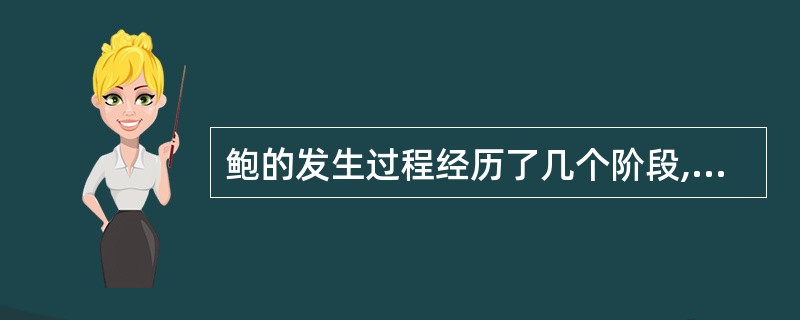 鲍的发生过程经历了几个阶段,下列表述不正确的是()A、担轮幼虫B、面盘幼虫C、钩