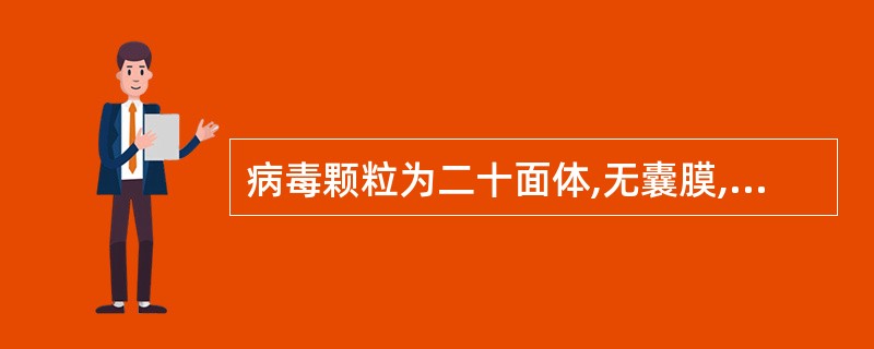 病毒颗粒为二十面体,无囊膜,病毒核酸为单链RNA的病毒是()A、黄头病毒B、桃拉