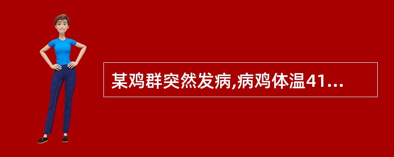 某鸡群突然发病,病鸡体温41~44℃,全身症状明显。常有腹泻,排出黄色稀粪。减食