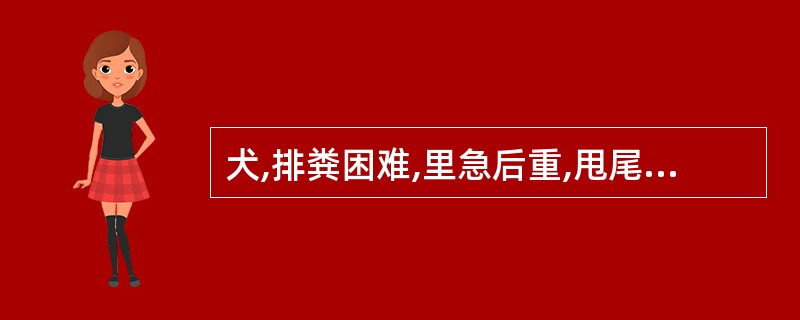 犬,排粪困难,里急后重,甩尾,擦舔肛门,挤压其肛门疼痛并流出黑灰色恶臭物。该病是