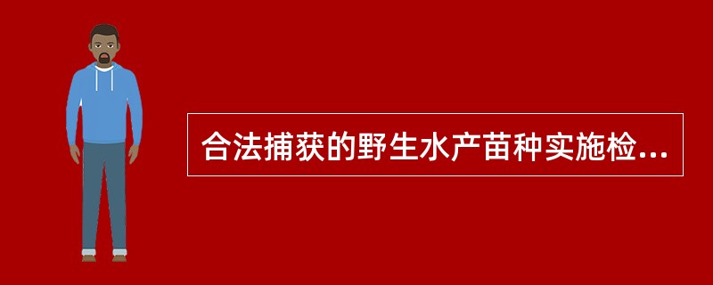 合法捕获的野生水产苗种实施检疫前,货主应当将其()在符合下列条件的临时检疫场地: