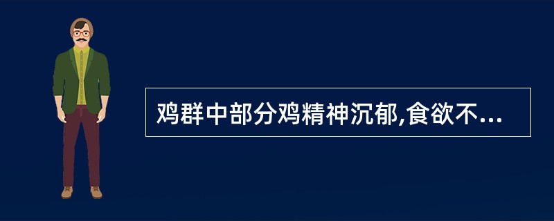 鸡群中部分鸡精神沉郁,食欲不振,行走无力,喜饮,两翅下垂,鸡冠逐渐变苍白。个别雏