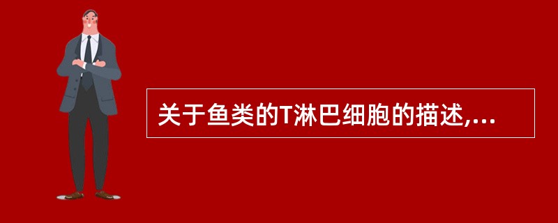 关于鱼类的T淋巴细胞的描述,不正确的是()A、早期主要在胸腺中,头肾中也有分布B