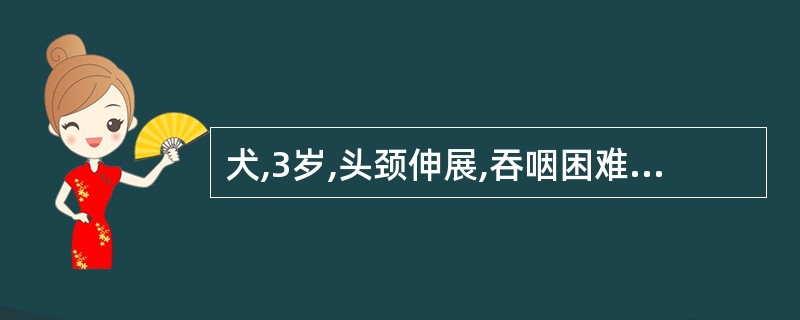 犬,3岁,头颈伸展,吞咽困难,流涎,呕吐,流出有食糜、唾液的鼻液。咽部触诊疼痛不