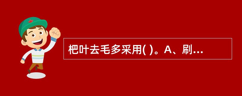 杷叶去毛多采用( )。A、刷去毛B、烫去毛C、燎去毛D、挖去毛E、撞去毛