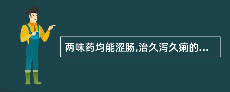 两味药均能涩肠,治久泻久痢的选项是( )A、赤石脂、五倍子B、禹余粮、肉豆蔻C、