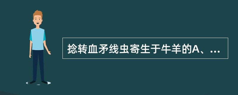 捻转血矛线虫寄生于牛羊的A、真胃B、瘤胃C、结肠D、盲肠E、肺脏