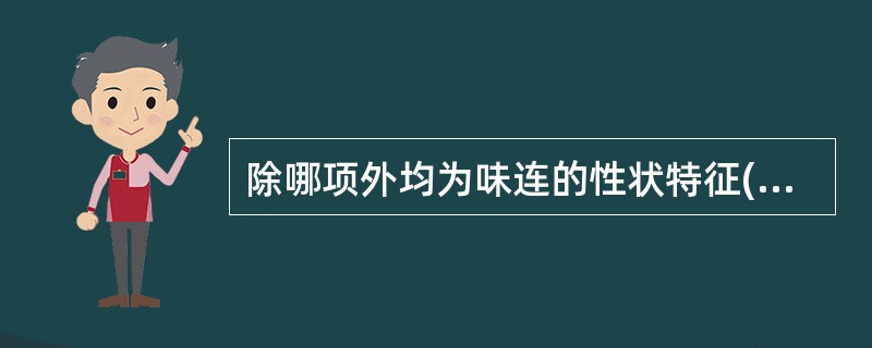 除哪项外均为味连的性状特征( )。A、多为单枝B、表面黄褐色,有结节状隆起、须根