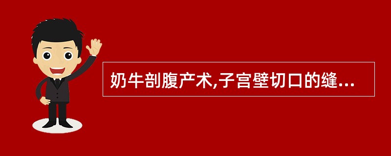 奶牛剖腹产术,子宫壁切口的缝合方法是A、浆膜肌层连续内翻缝合B、浆膜肌层间断外翻